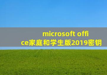 microsoft office家庭和学生版2019密钥